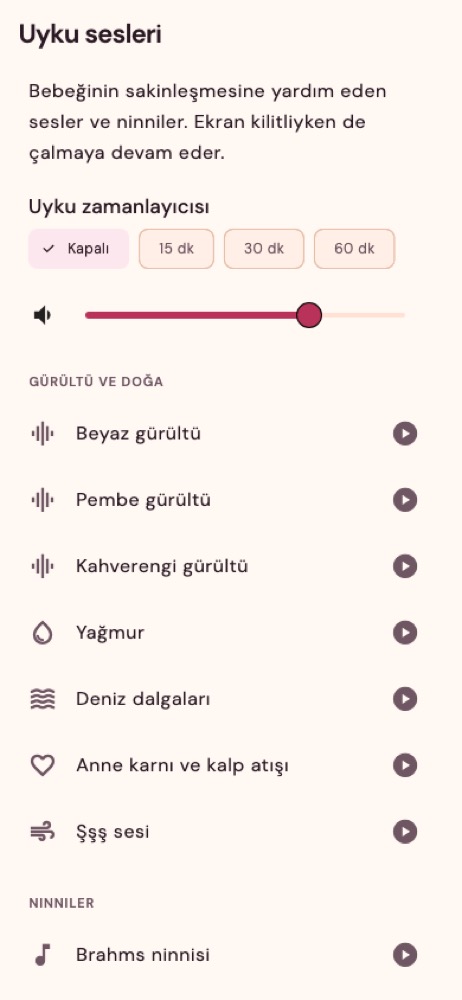 Uyku sesleri